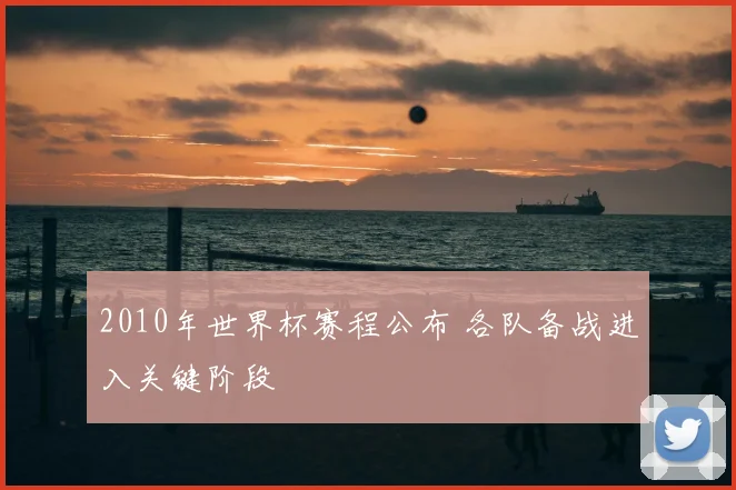 2010年世界杯赛程公布 各队备战进入关键阶段