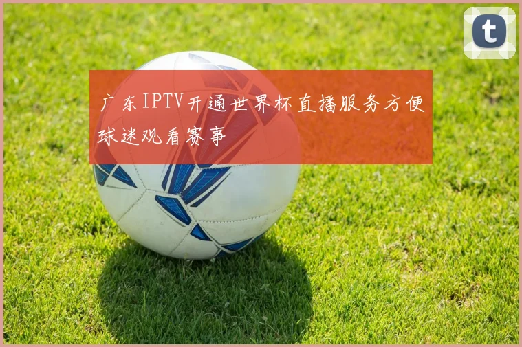 广东IPTV开通世界杯直播服务方便球迷观看赛事